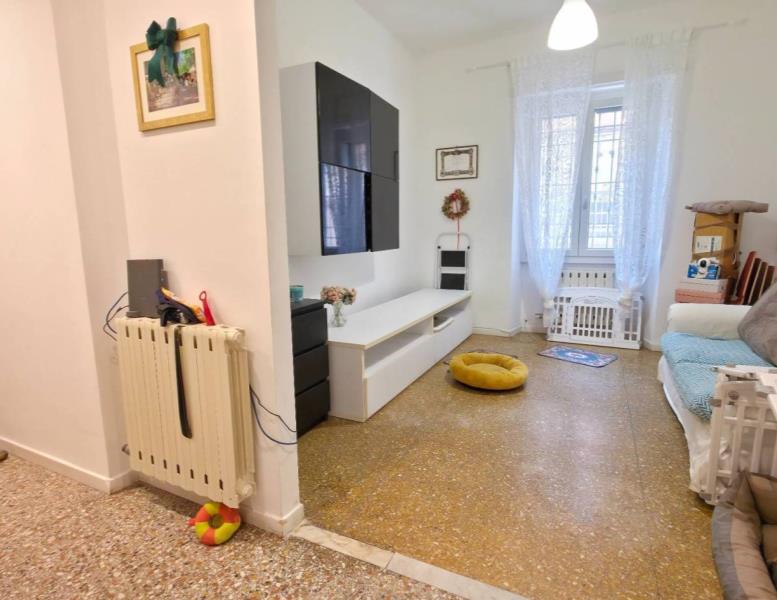 appartamento in affitto a Frascati