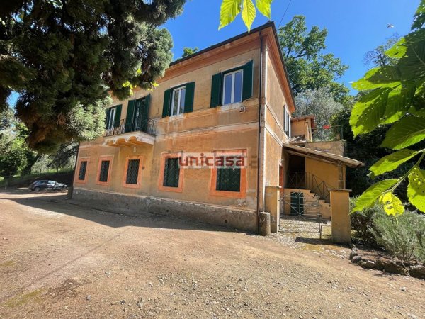 casa indipendente in affitto a Frascati