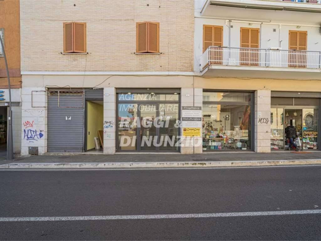 negozio in affitto a Frascati