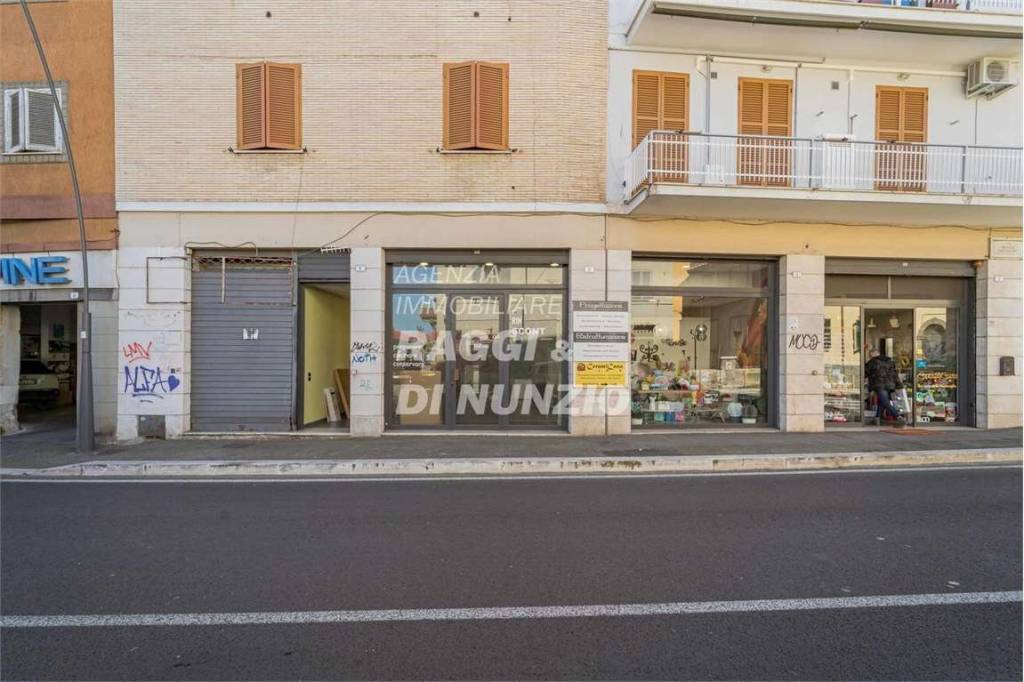 negozio in affitto a Frascati