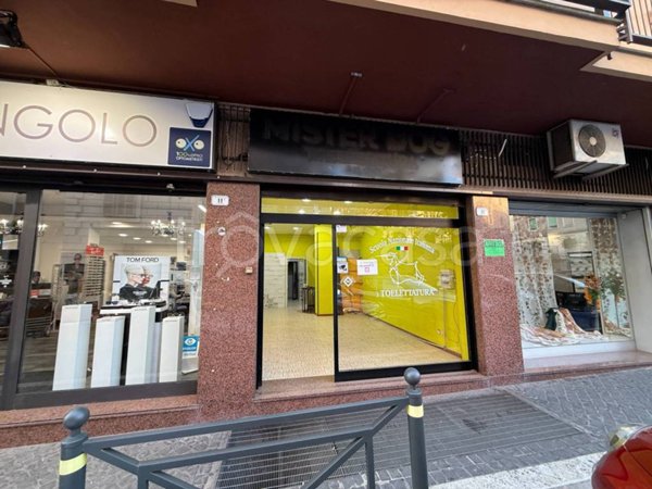 negozio in affitto a Frascati