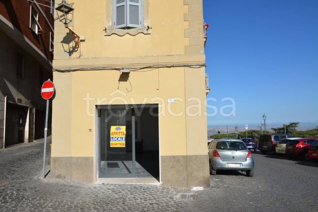 negozio in affitto a Frascati