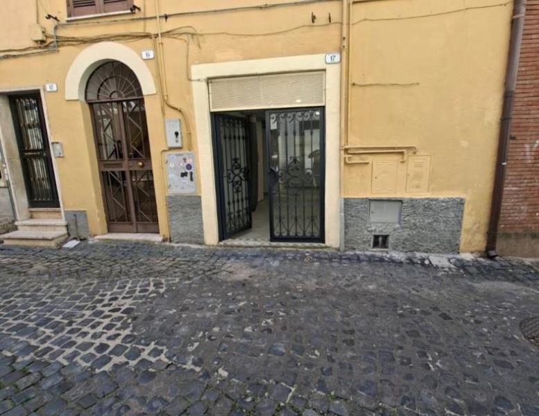 negozio in affitto a Frascati