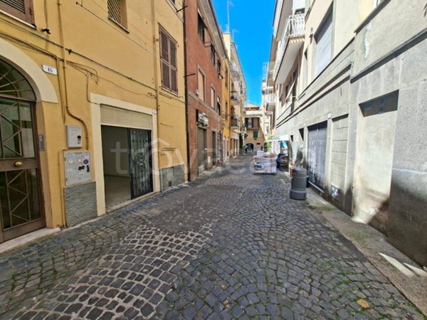 negozio in affitto a Frascati