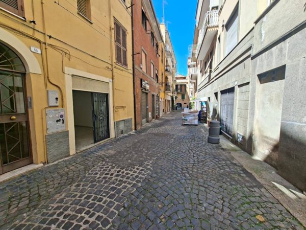 negozio in affitto a Frascati