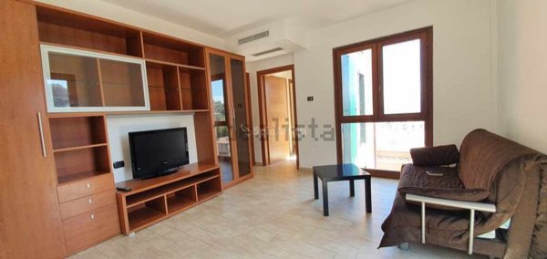 appartamento in affitto a Frascati