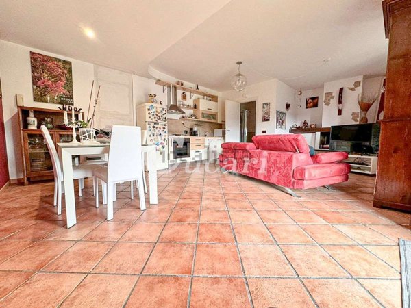 appartamento in affitto a Frascati