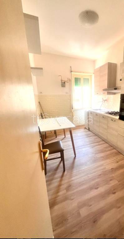 appartamento in affitto a Frascati