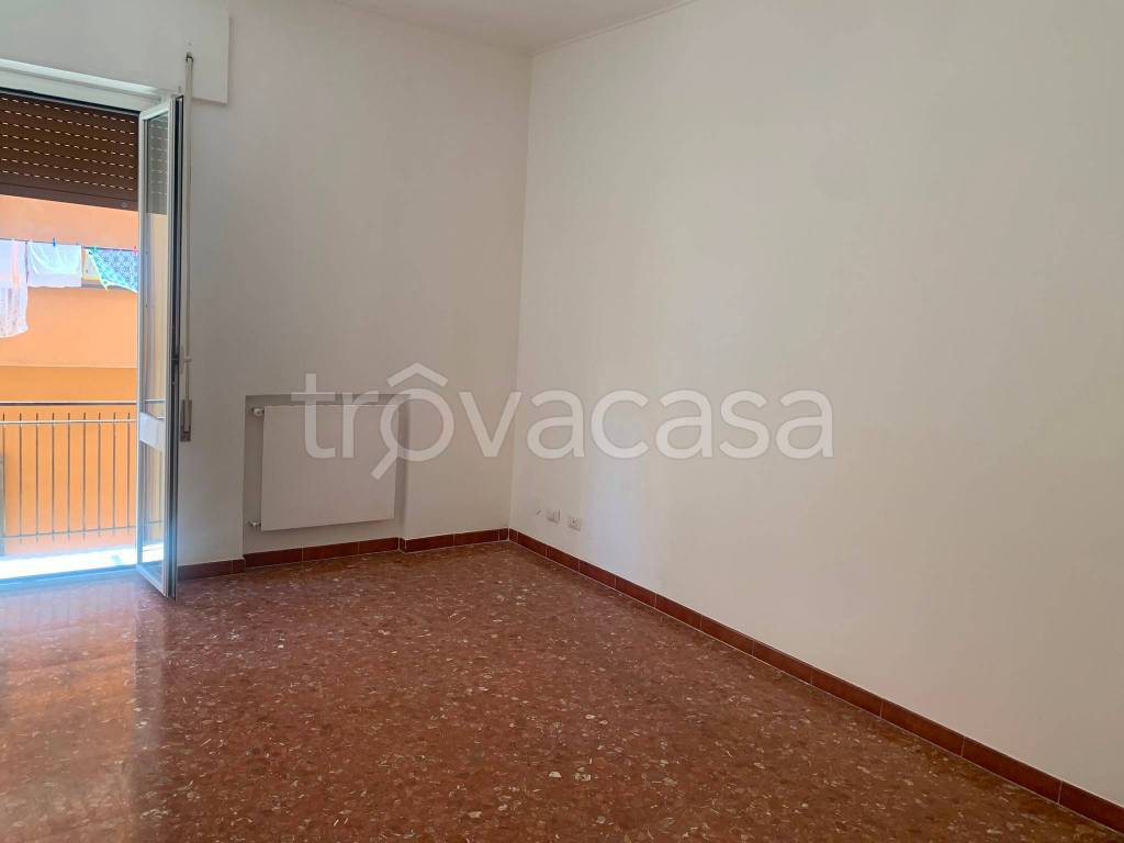 appartamento in affitto a Frascati