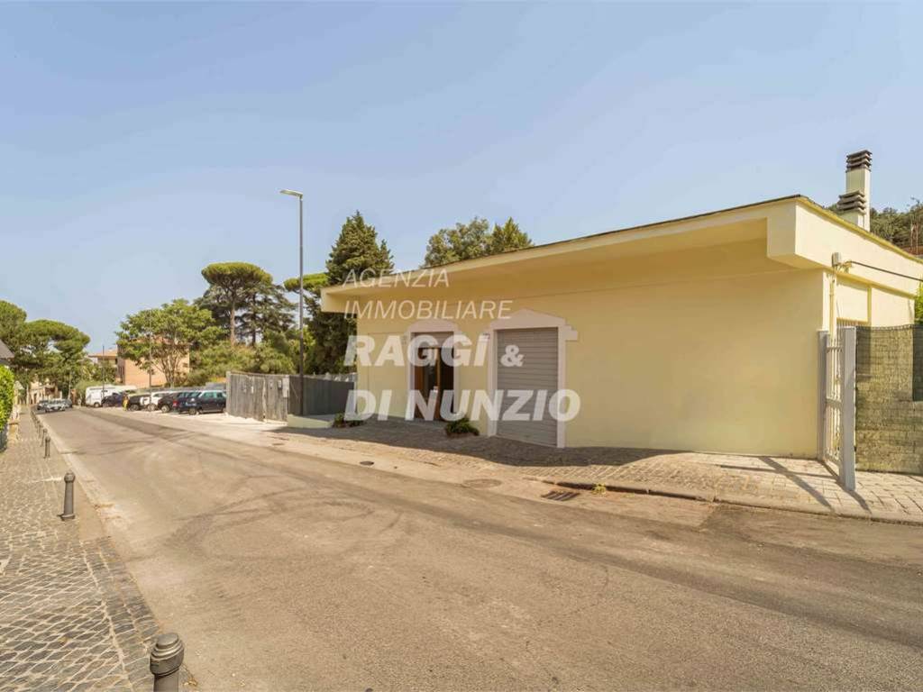 negozio in affitto a Frascati
