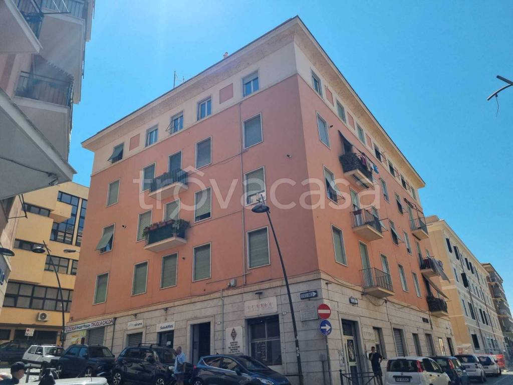 appartamento in affitto a Frascati