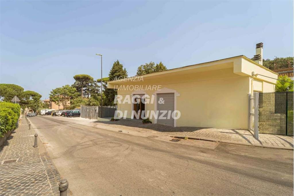 negozio in affitto a Frascati