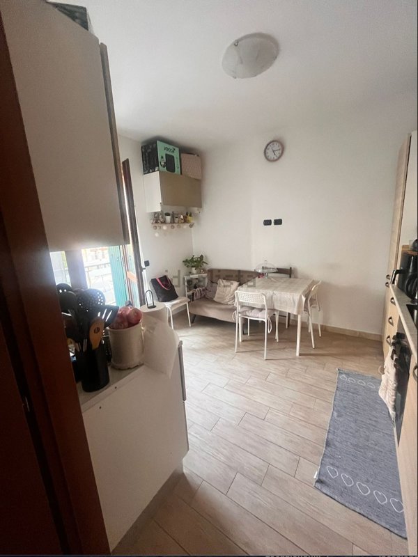 appartamento in affitto a Frascati
