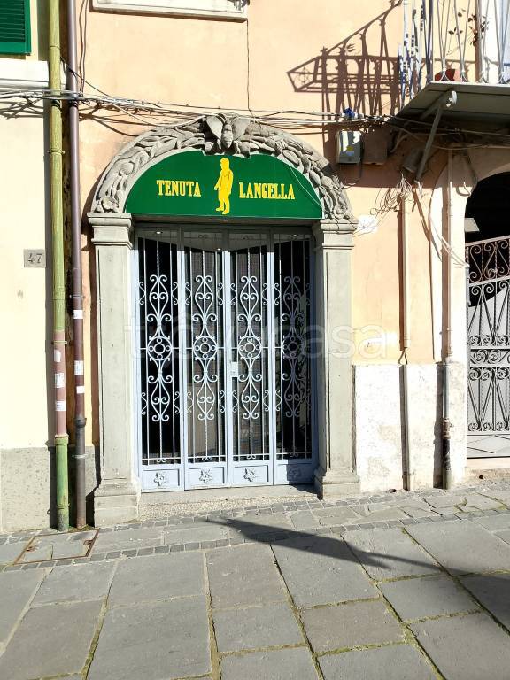 monolocale in affitto a Genzano di Roma