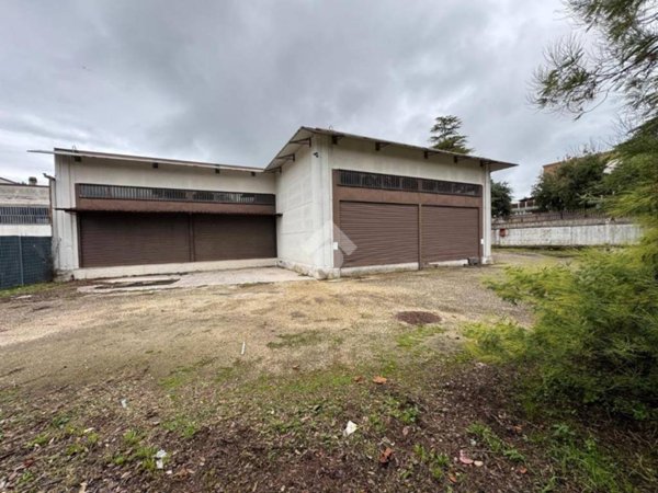 negozio in affitto a Genzano di Roma