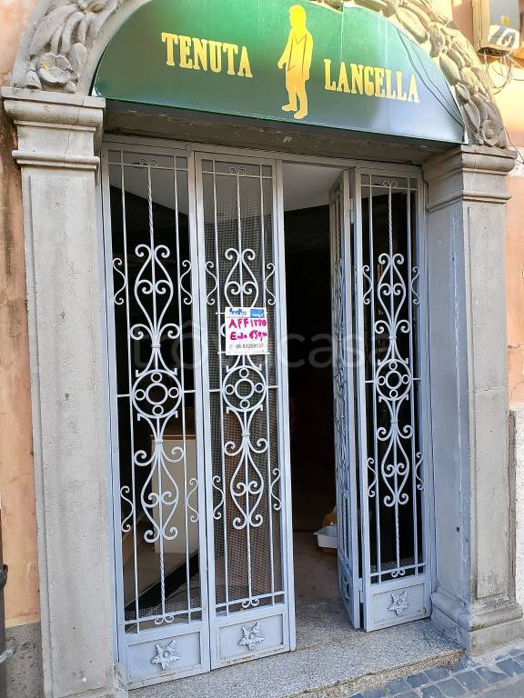 negozio in affitto a Genzano di Roma