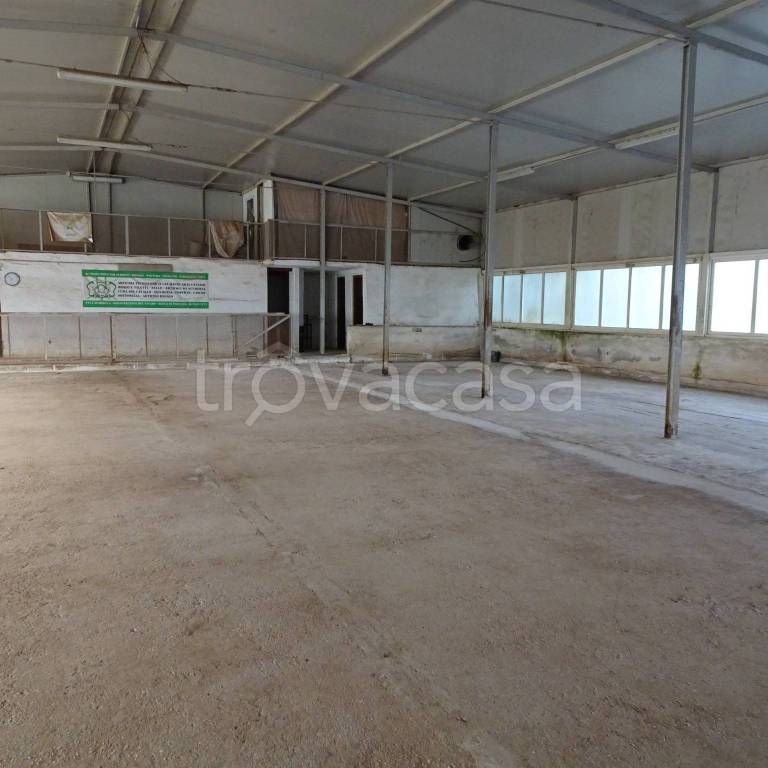 locale commerciale in affitto a Genzano di Roma