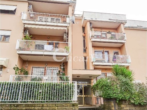 appartamento in affitto a Grottaferrata