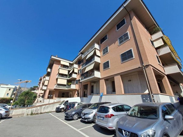 ufficio in affitto a Grottaferrata