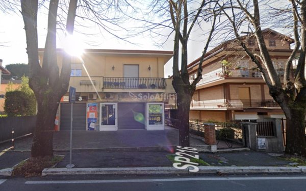 appartamento in affitto a Grottaferrata