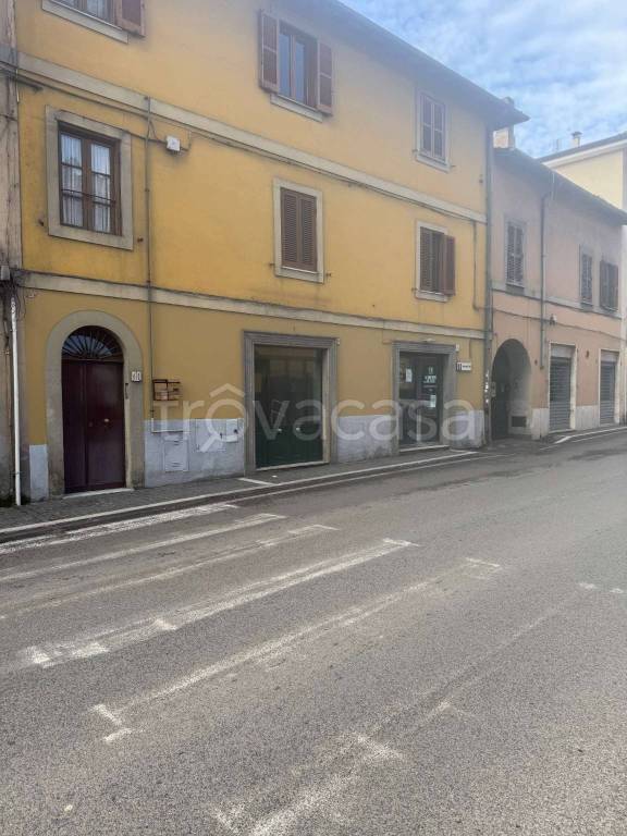 negozio in affitto a Grottaferrata