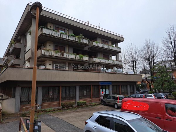 appartamento in affitto a Grottaferrata