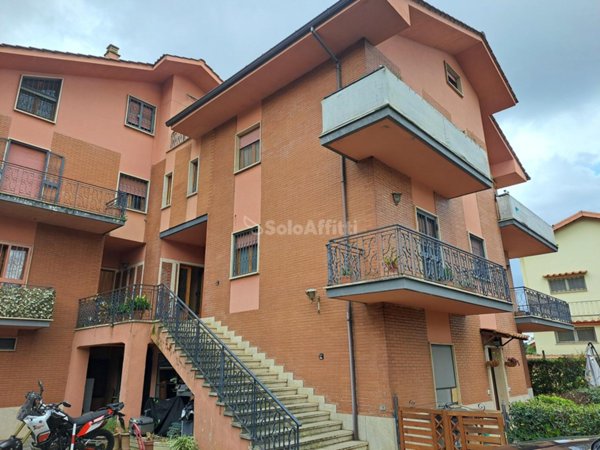 appartamento in affitto a Grottaferrata