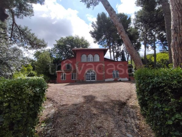 appartamento in affitto a Grottaferrata