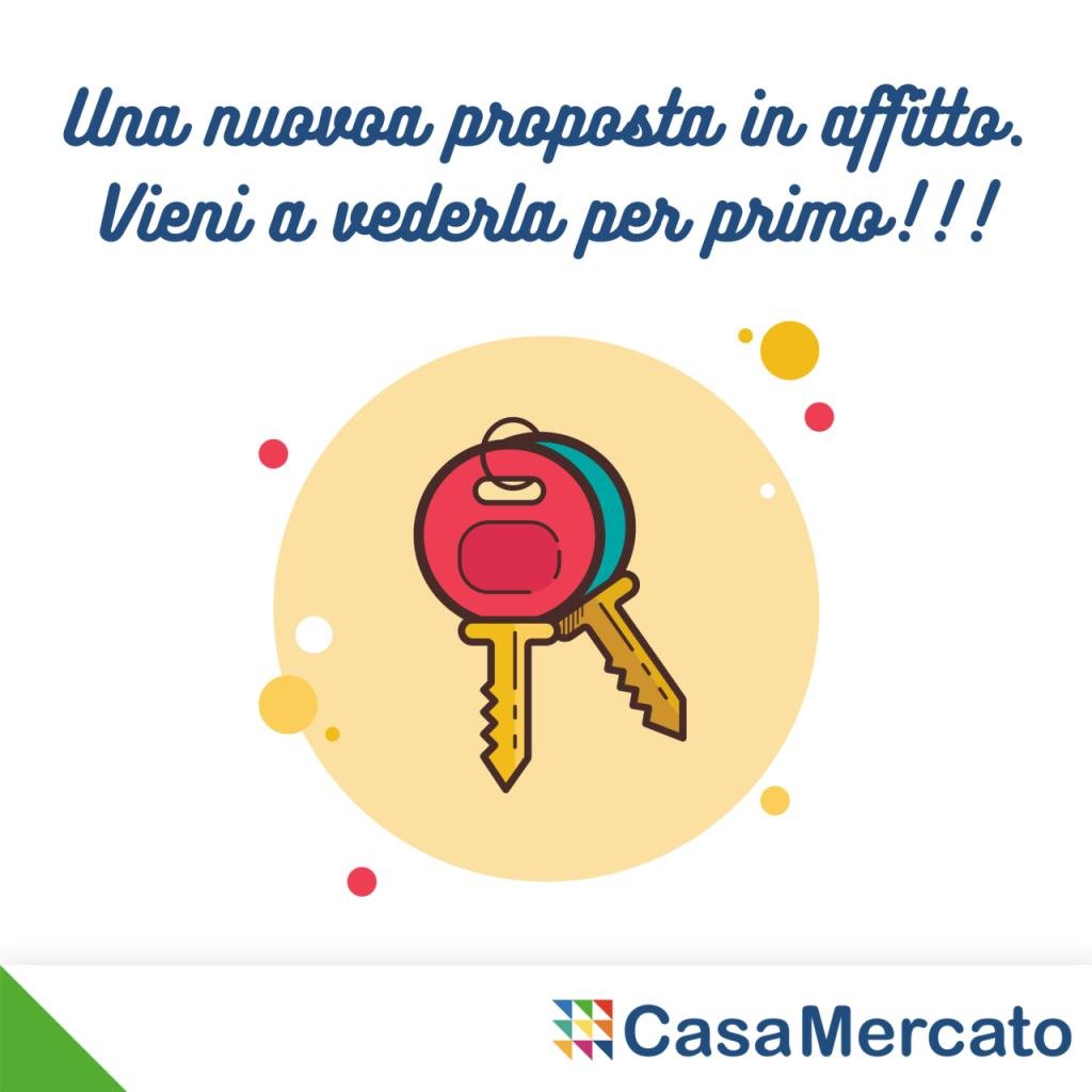 appartamento in affitto a Grottaferrata