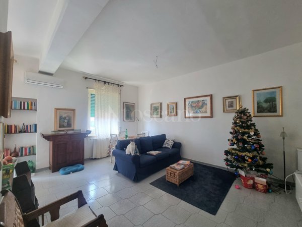 appartamento in affitto a Grottaferrata