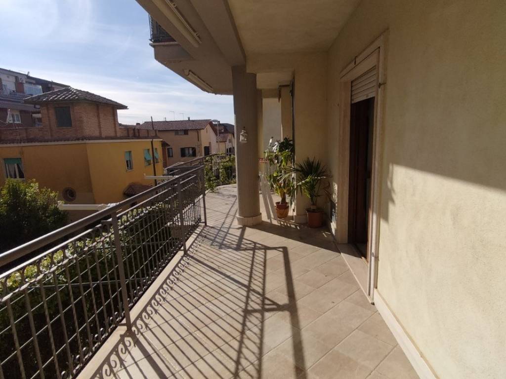 appartamento in affitto a Grottaferrata