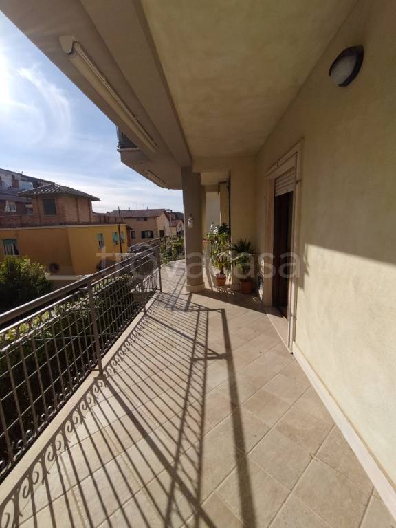 appartamento in affitto a Grottaferrata