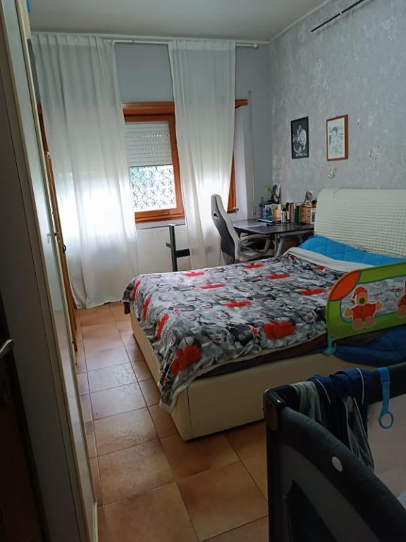 appartamento in affitto a Grottaferrata