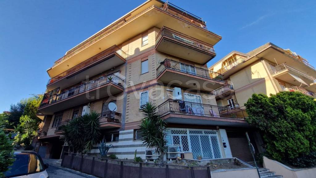 appartamento in affitto a Grottaferrata
