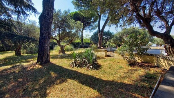 casa indipendente in affitto a Grottaferrata