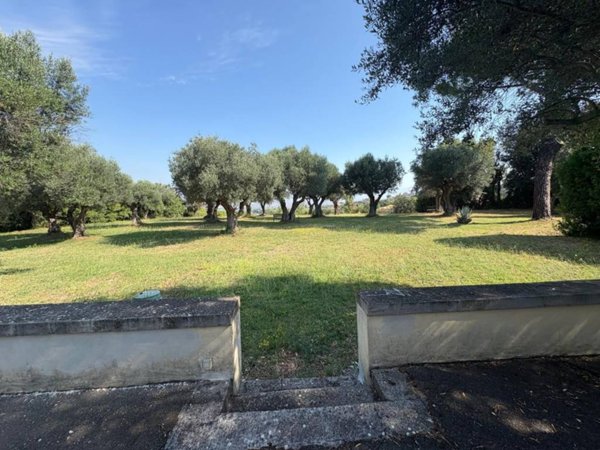 appartamento in affitto a Grottaferrata