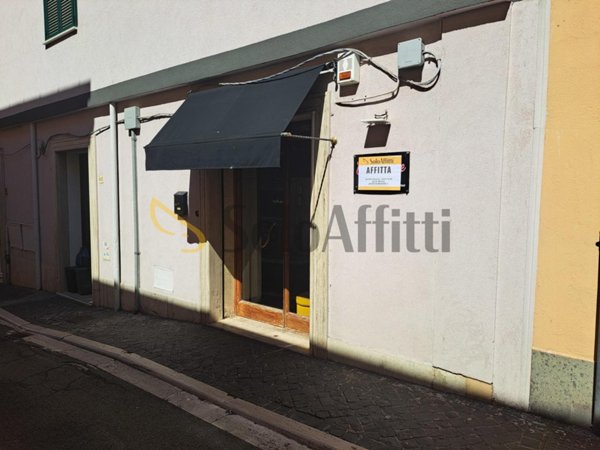 appartamento in affitto a Grottaferrata