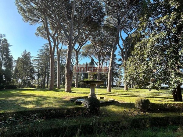 appartamento in affitto a Grottaferrata