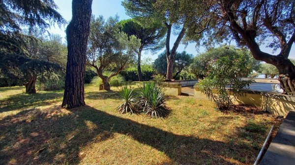 casa indipendente in affitto a Grottaferrata