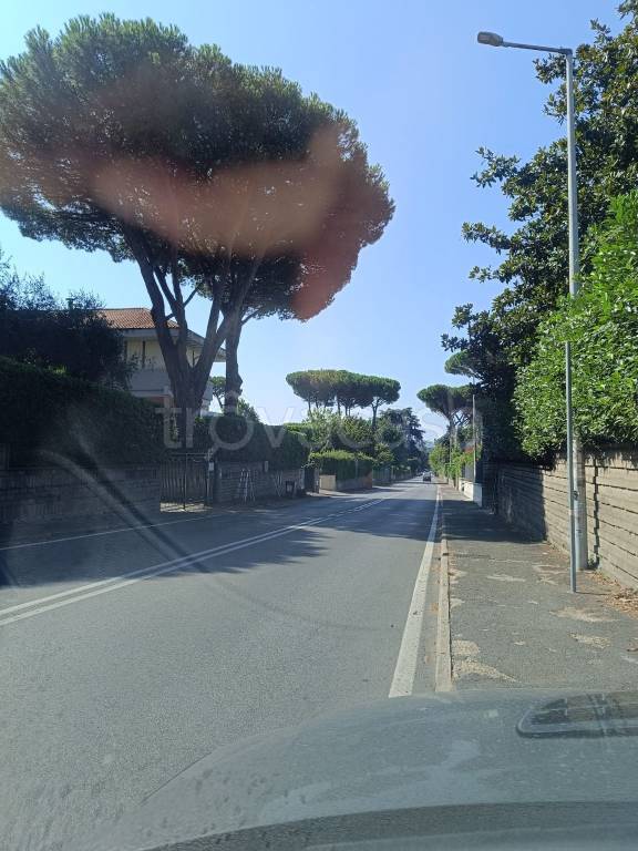 appartamento in affitto a Grottaferrata