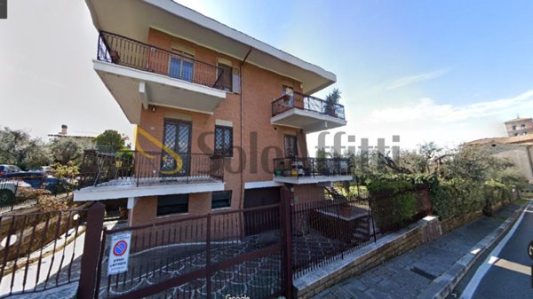 appartamento in affitto a Grottaferrata