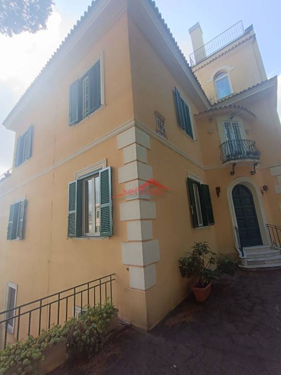 appartamento in affitto a Grottaferrata
