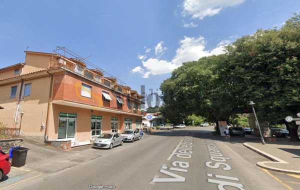 appartamento in affitto a Grottaferrata