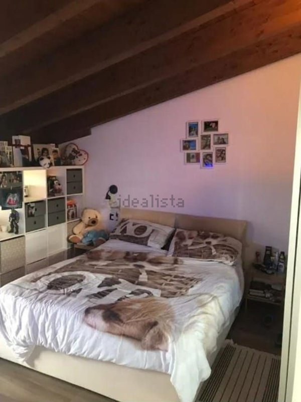 appartamento in affitto a Grottaferrata
