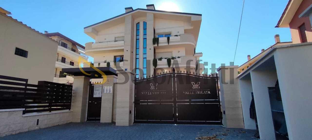 appartamento in affitto a Grottaferrata