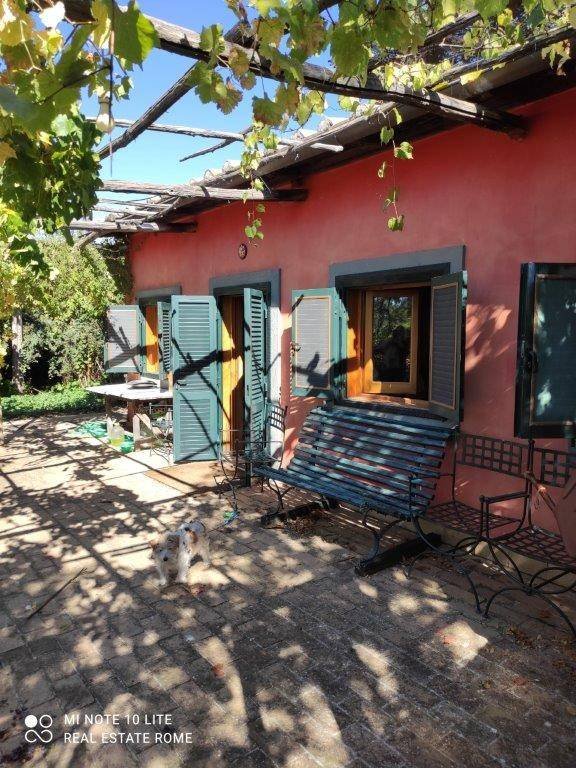 casa indipendente in affitto a Grottaferrata