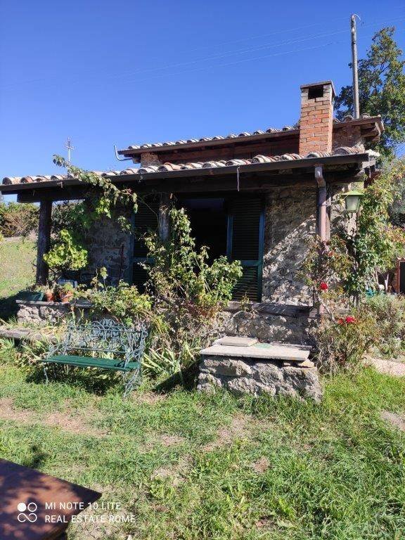 casa indipendente in affitto a Grottaferrata