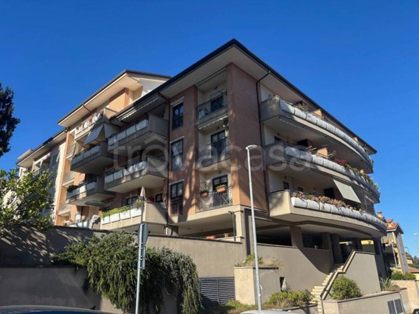 appartamento in affitto a Grottaferrata