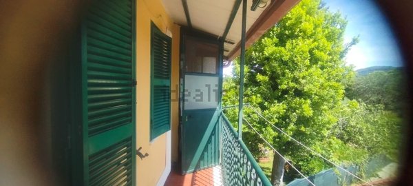 appartamento in affitto a Grottaferrata