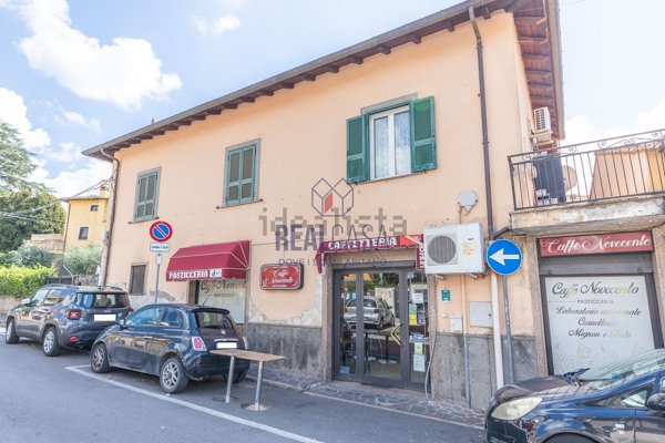 negozio in affitto a Grottaferrata